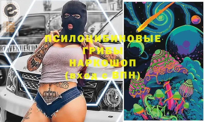 Галлюциногенные грибы Magic Shrooms  Катайск 